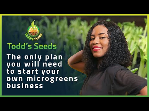 The Only Plan You Need to Start Your Own Microgreens Business
